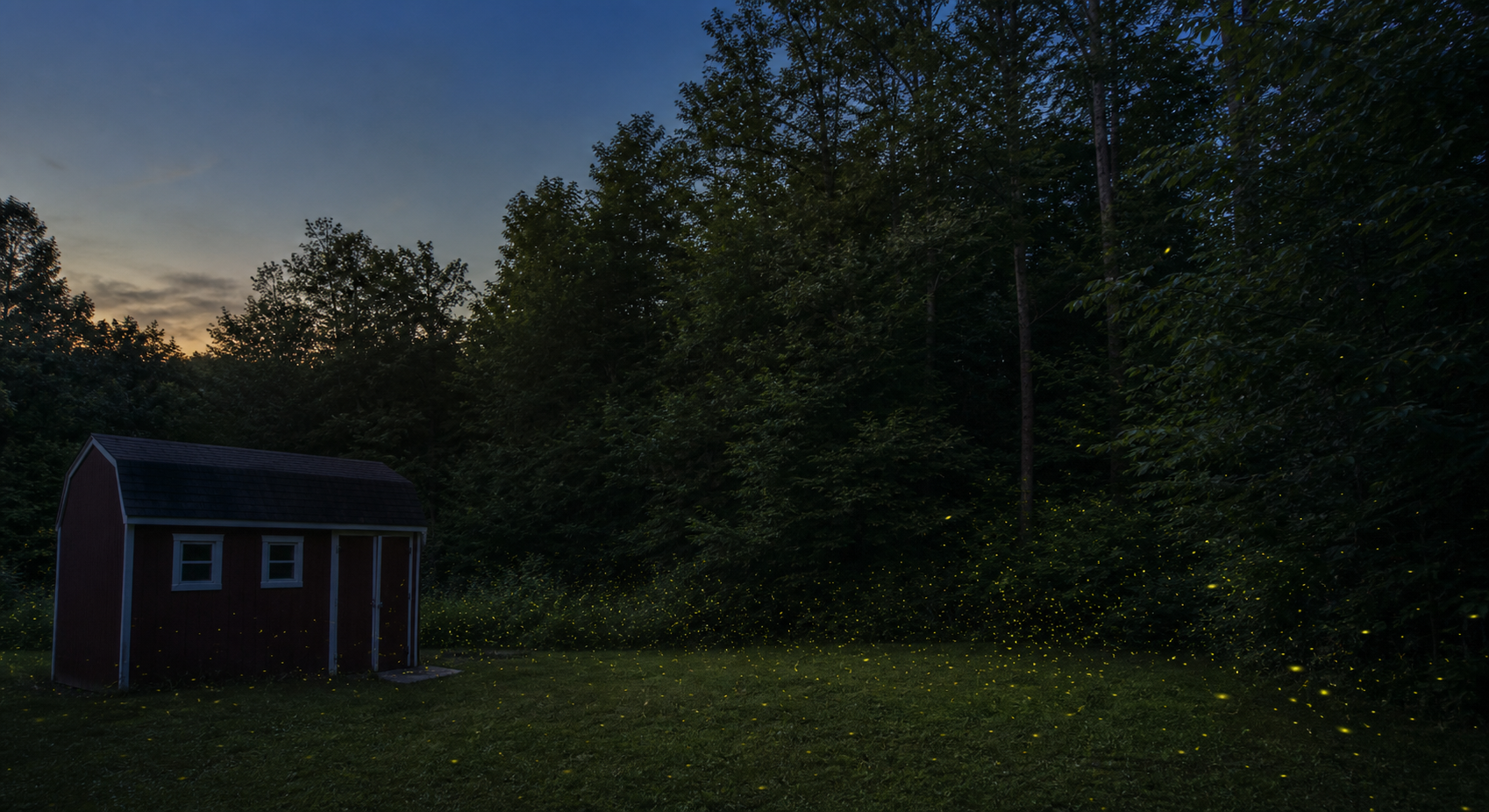 A wooded backyard at dusk filled with small firefly lights near a shed